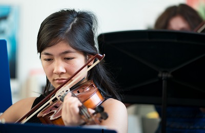 Violin