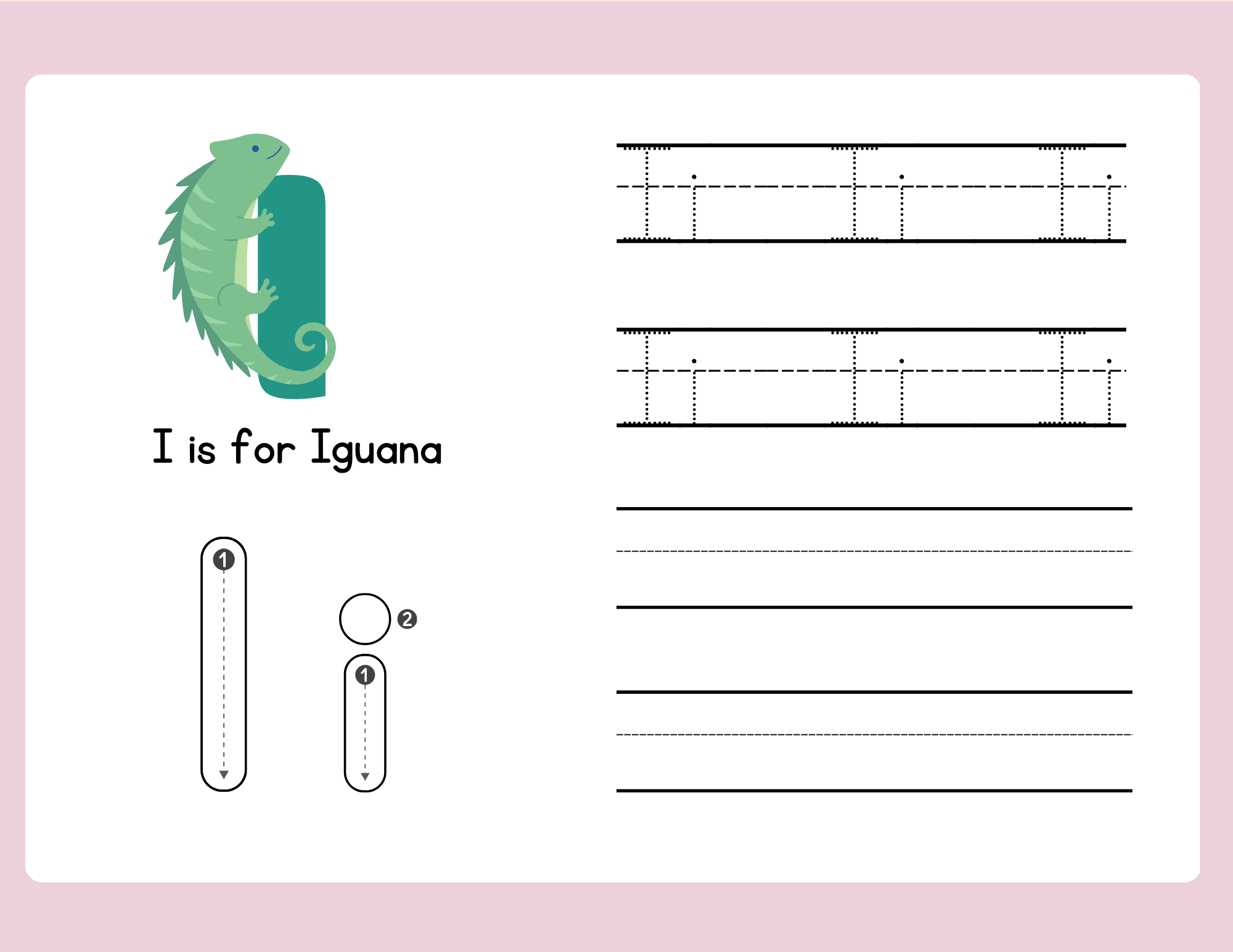 i for iguana