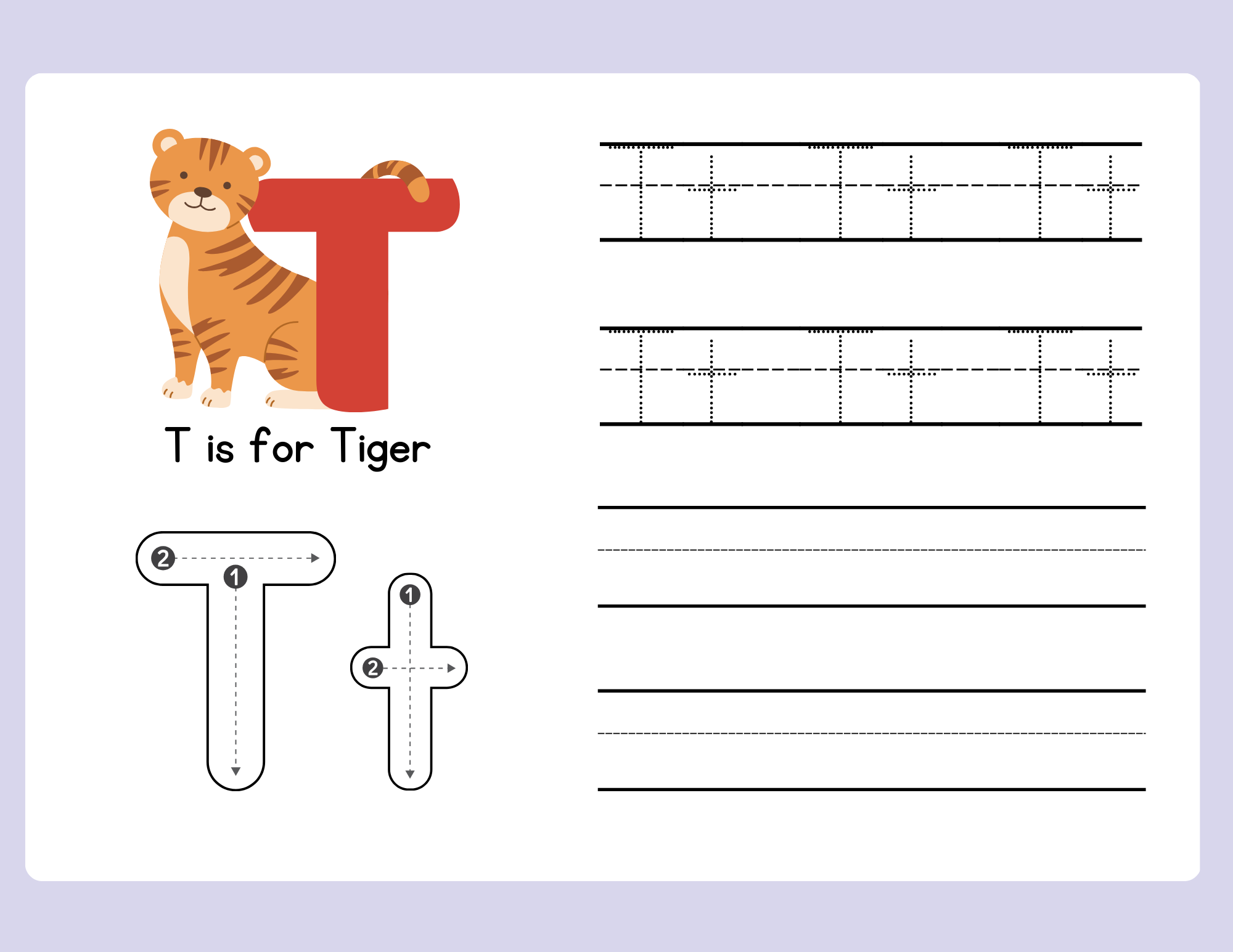 t for tiger